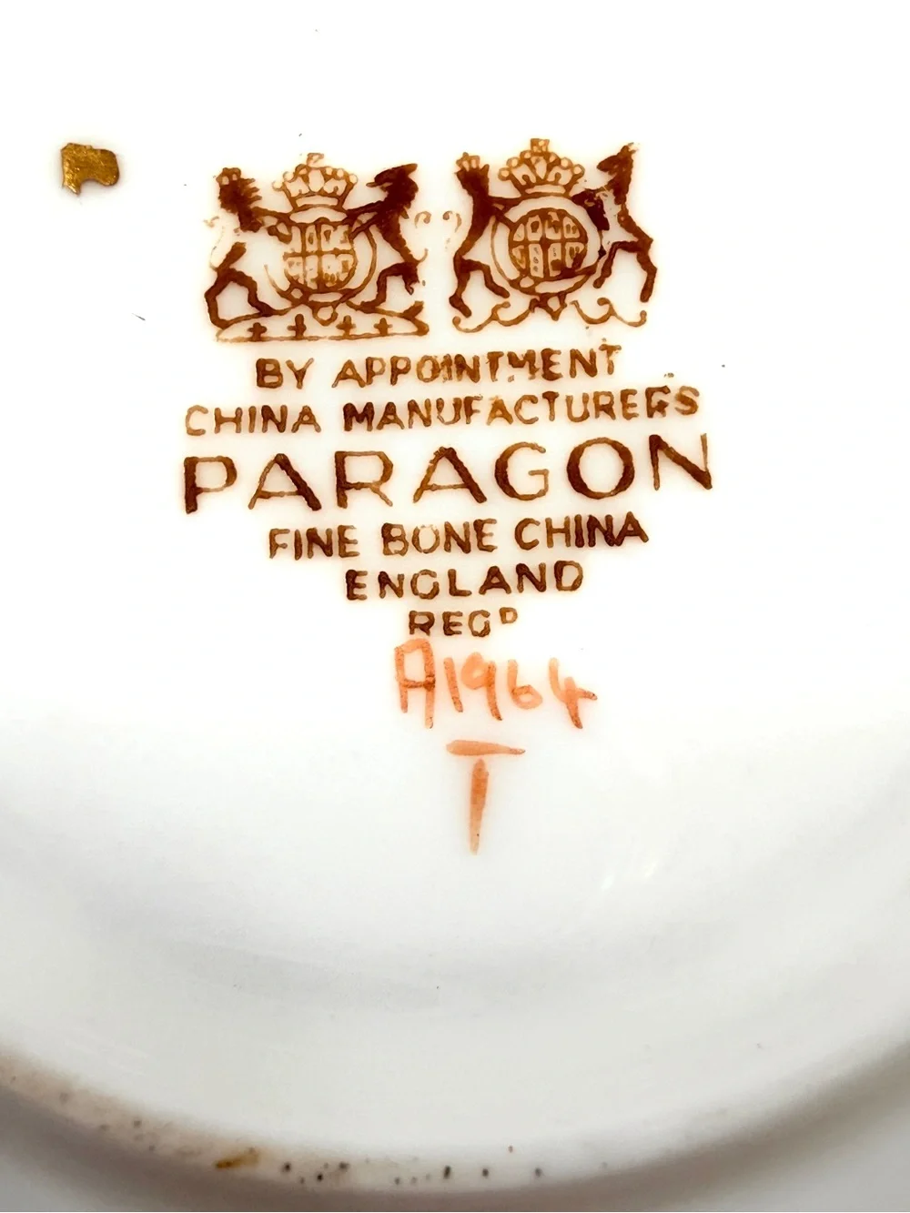 RARE Vintage PARAGON Bone China Teacup Cup & Saucer Double Warrant Mother Green